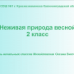 Неживая природа весной