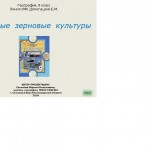 Презентация к уроку географии для учащихся 9 класса по теме: "Хлебные злаковые культуры" при изучении раздела "Межотраслевые комплексы РФ. АПК. Растениеводство"