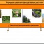 Конкурс ИнтерАктивный учитель. Подготовка семян к посеву