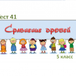 Тест 42 «Сравнение дробей» 