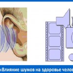 КОНКУРС проект по теме "Влияние шумов на здоровье человека"