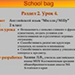 Millie. Unit 2. Lesson 4 