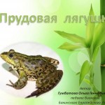 Класс Земноводные .Прудовая лягушка.