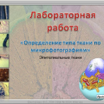 Интерактивная лабораторная работа "Определение типа ткани по микрофотографиям. Эпителиальные ткани"