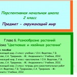 Разнообразие растений. Цветковые и хвойные растения