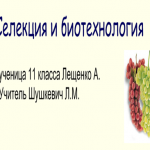 Селекция и биотехнология