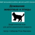 Домашние животные и птицы