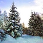 Зимушка-зима