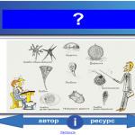 Простейшие