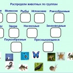 Разнообразие животных