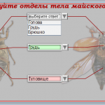 Примеры использования выпадающих списков