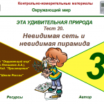 Тест 20. Невидимая сеть и невидимая пирамида (система опроса ActivExpression2) 