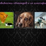 Разновидности отношений