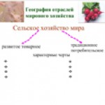 Сельское хозяйство мира