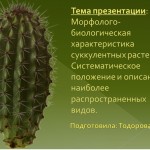 Морфолого-биологическая характеристика суккулентных растений