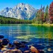 Живая и неживая природа	