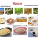 "Виды каш"