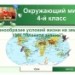 Разнообразие условий жизни на земле