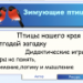 Дидактическая интерактивная игра для детей старшего дошкольного возраста "Зимующие птицы"