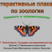 Создаем интерактивный плакат. Занятие3. Интерактивный плакат с элементами игры и проверкой. "Немного о членистоногих"