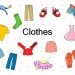 Clothes