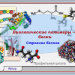 Биологические полимеры - белки. Строение белков