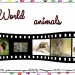 World animals