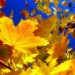 Явления природы (1 часть)