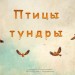 Птицы тундры. Атлас - определитель.