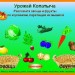 Флеш-ролик "Урожай Копатыча"