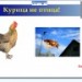 Домашние животные.Курица.
