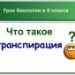 Что такое транспирация?