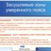 Засушливые зоны  умеренного пояса. Урок 6.