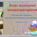 Атлас школьных микропрепаратов "Клеточное строение органов человека и животных. Нервные ткани"