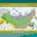 Повторение изученного материала по теме: "Природные зоны России". Подготовка к контрольной работе.