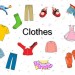 Clothes.