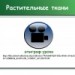 Презентация Noteвook  "Растительные ткани"