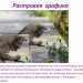 Компьютерная графика и области её применения. Понятие растровой и векторной графики.