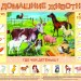 "Домашние животные"