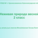 Неживая природа весной