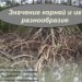 Значение корней и их разнообразие