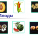 Плоды. Разнообразие и значение плодов