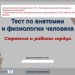 Визуальный тест "Строение и работа сердца"