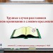 Трудные случаи расстановки знаков препинания в сложном предложении