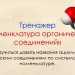 Номенклатура органических соединений