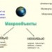 Конкурс. Информация. Алфавитный подход.