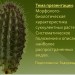 Морфолого-биологическая характеристика суккулентных растений