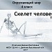 Тест "Скелет человека"