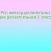 Имена существительные мужского, женского и среднего рода.