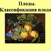Презентация урока "Плоды. Классификация плодов"